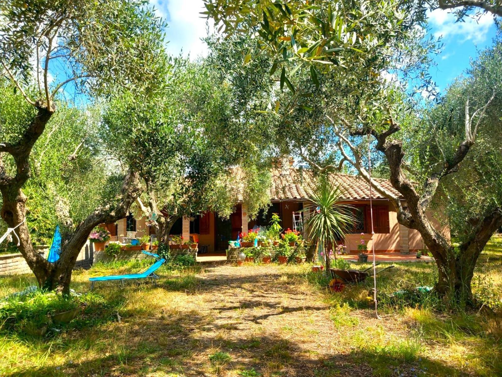 All'Ombra Degli Olivi Pisciarelli Exteriér fotografie