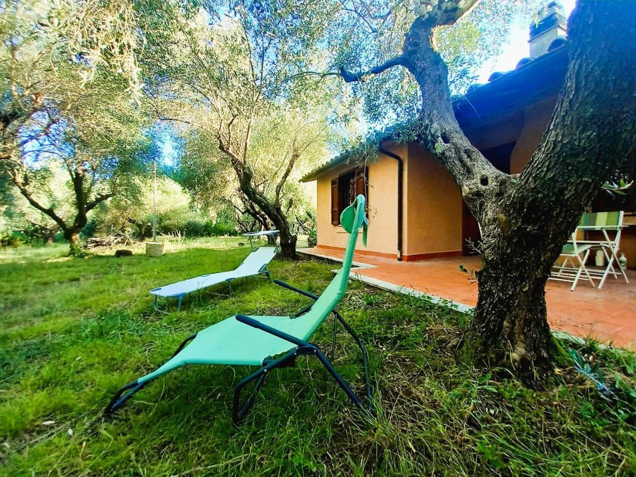 All'Ombra Degli Olivi Pisciarelli Exteriér fotografie